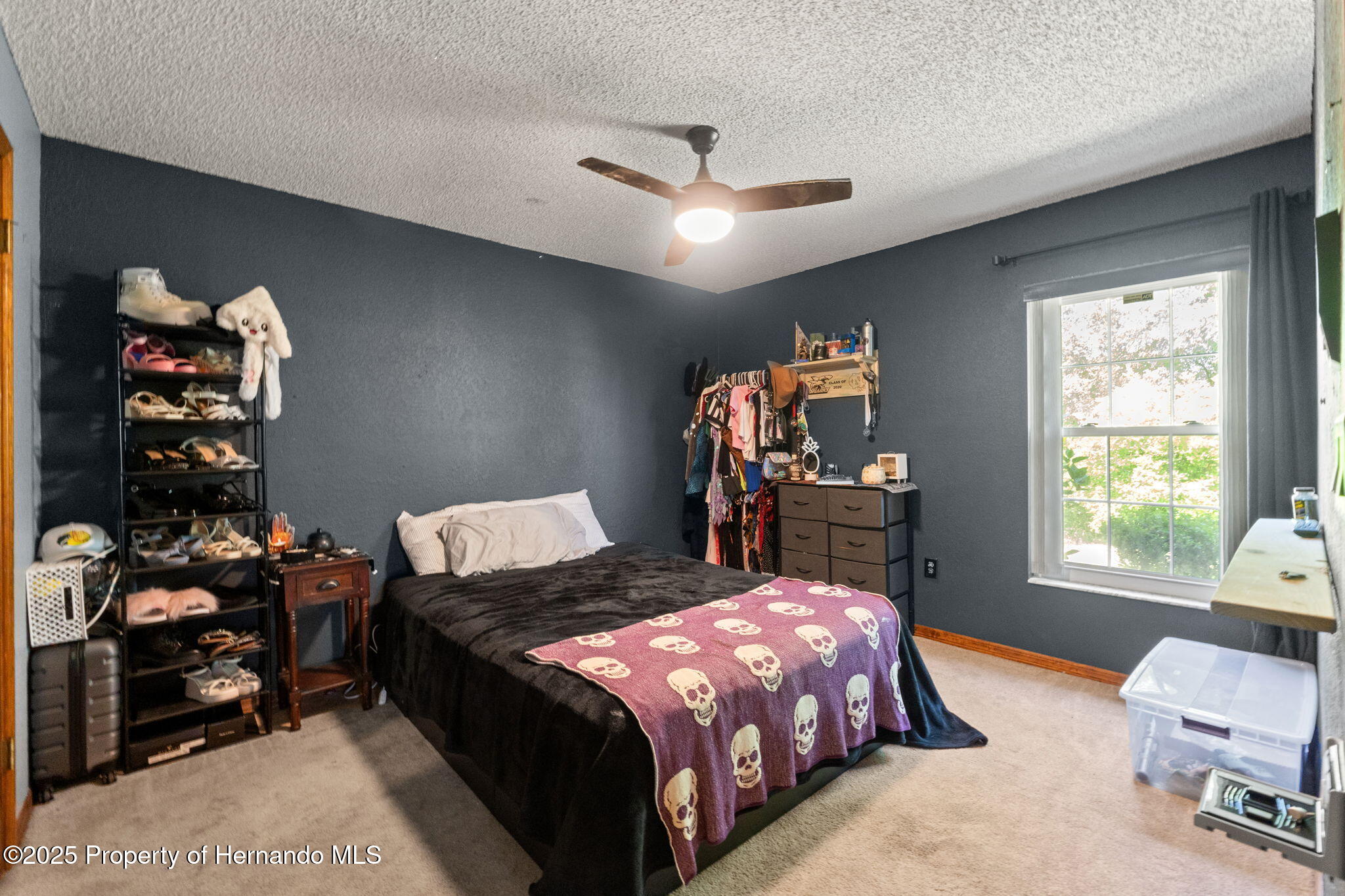 13469 Pia Court, Spring Hill, Florida image 21