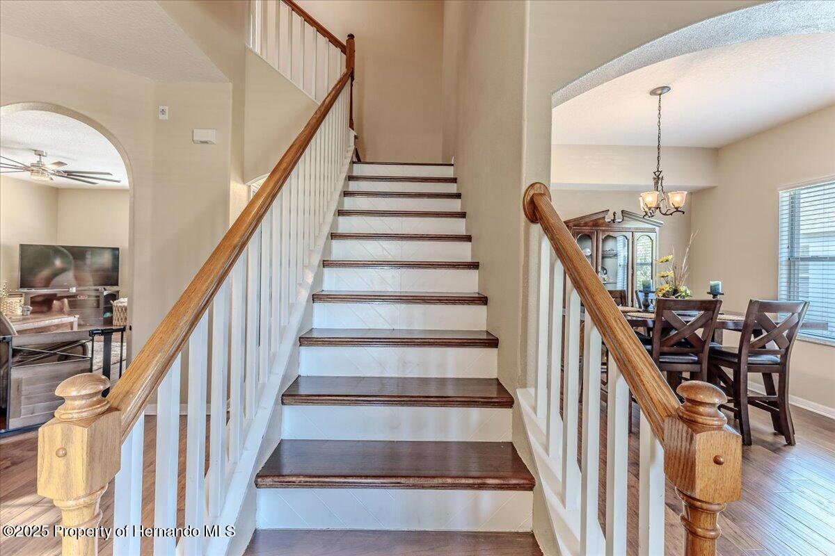 4094 Braemere Drive, Spring Hill, Florida image 25