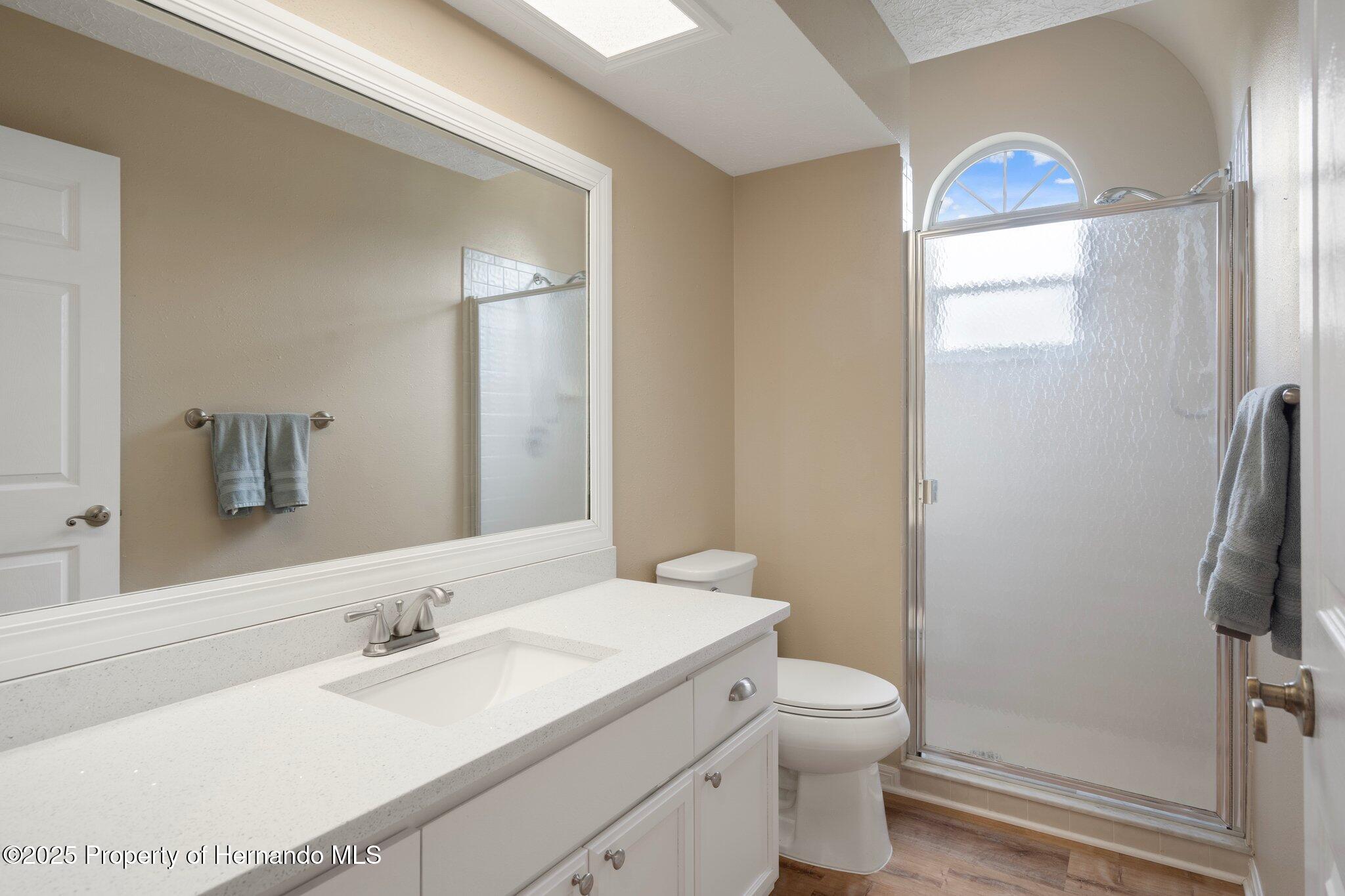 11242 Riddle Drive, Spring Hill, Florida image 29