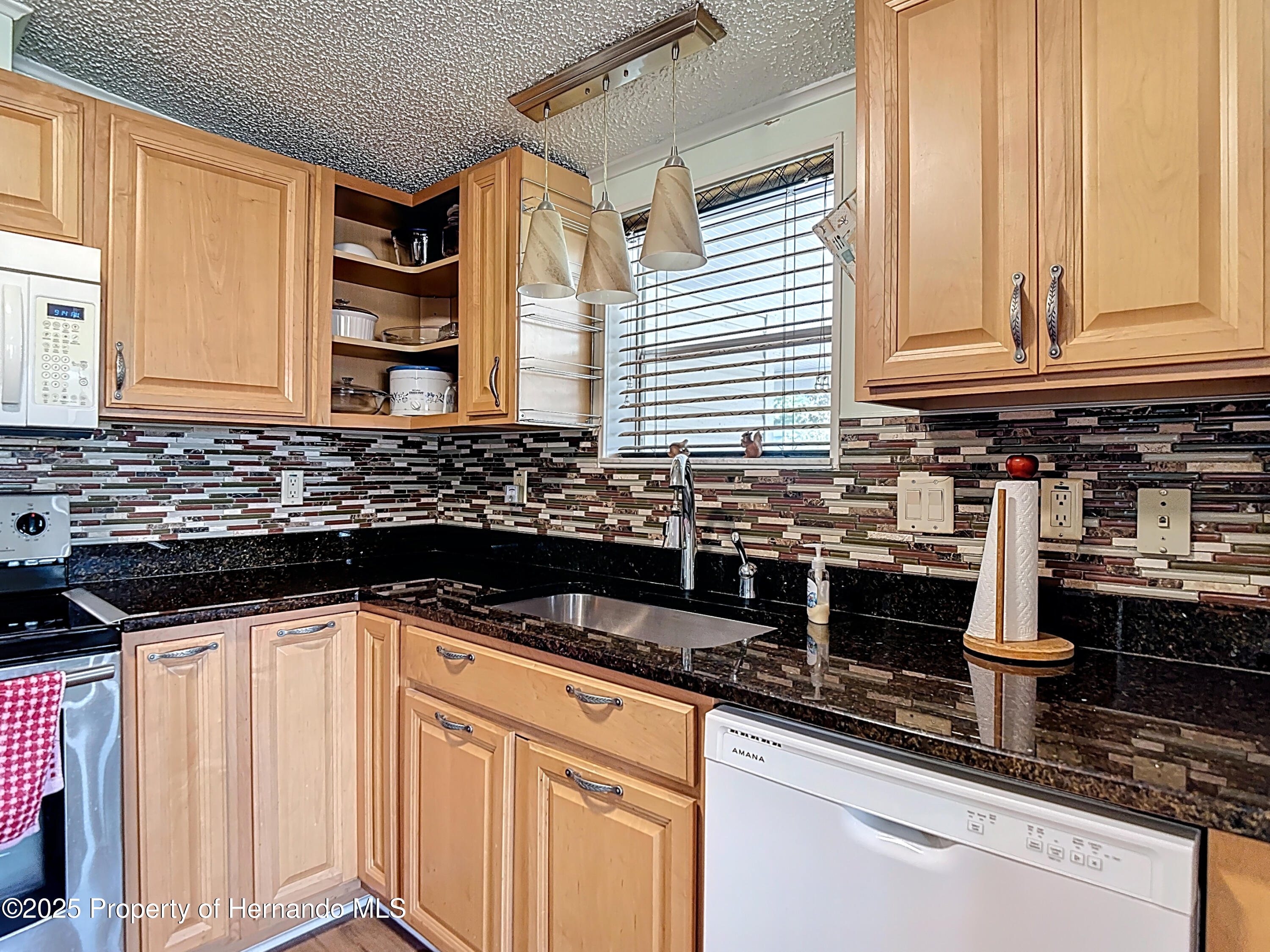 10033 Wellington Ave Avenue, Dade City, Florida image 9