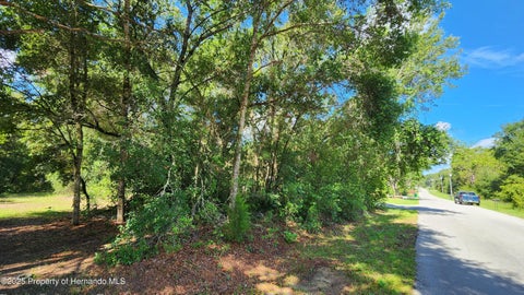 Featured picture for the property 2254059