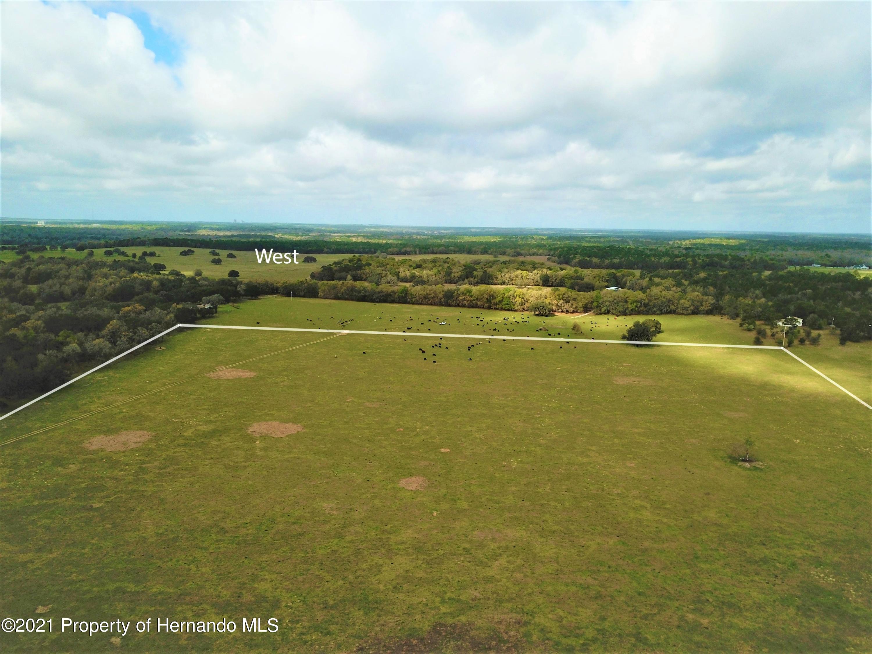 12884 S Pleasant Grove Road, Floral City, Florida image 6