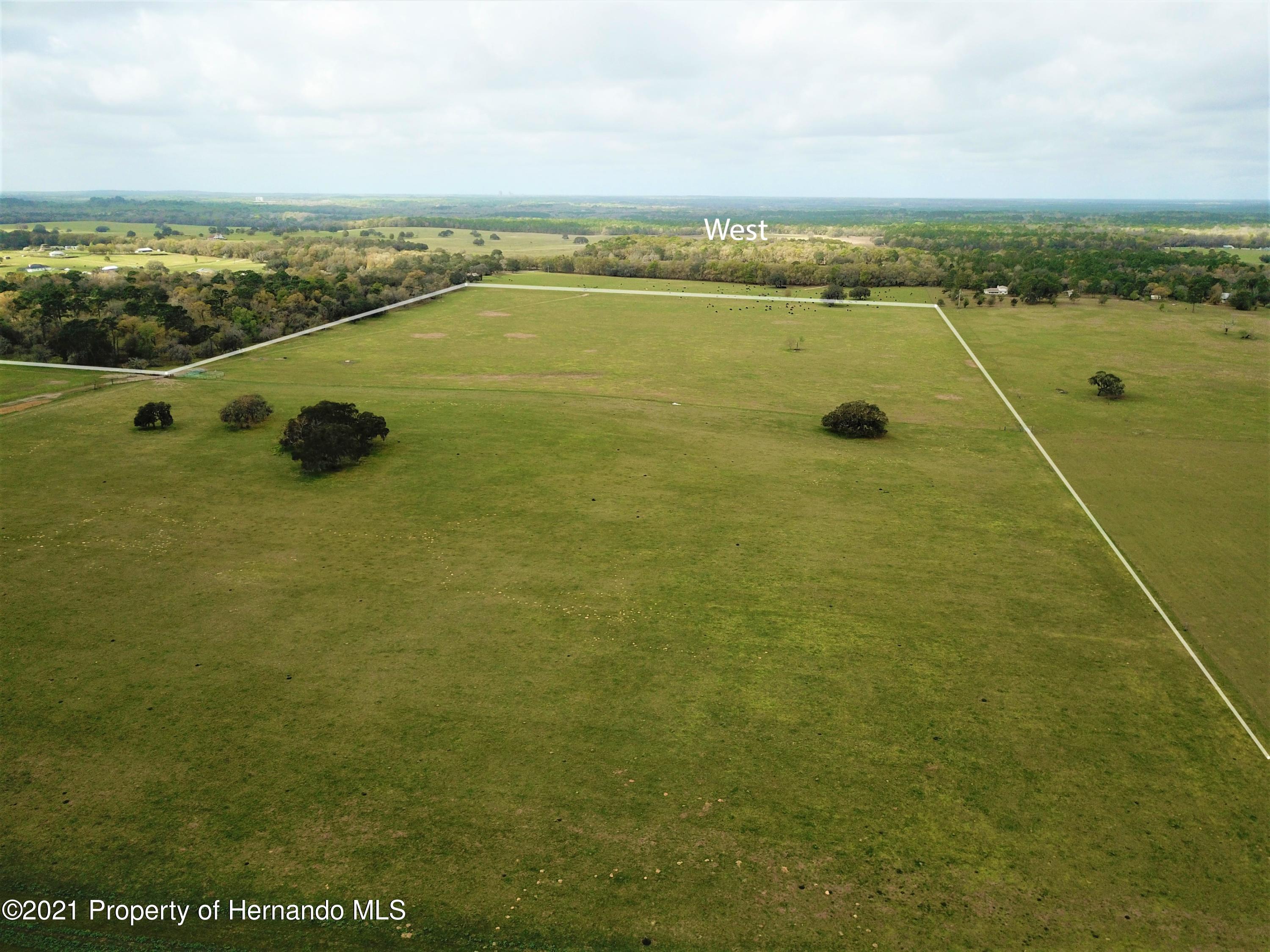12884 S Pleasant Grove Road, Floral City, Florida image 7