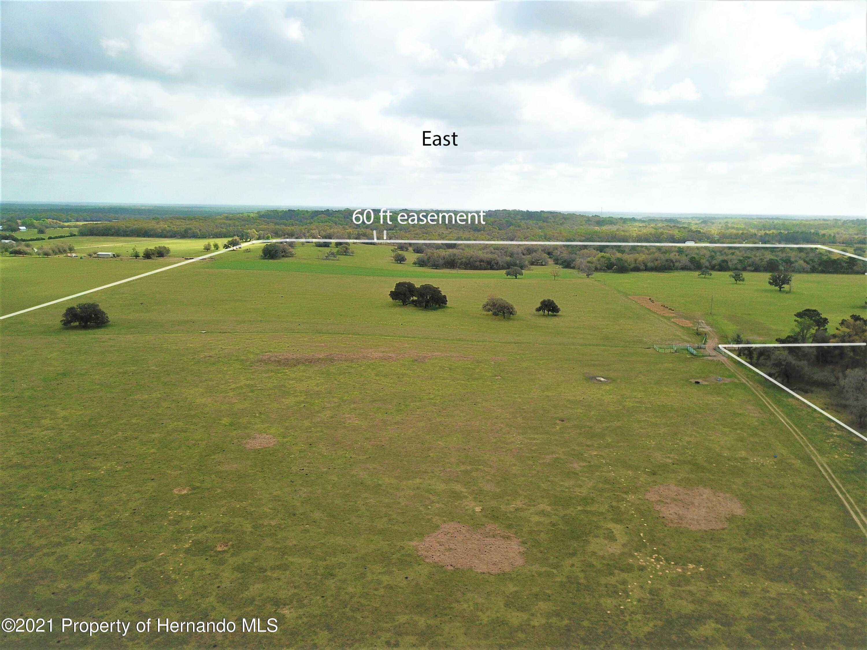 12884 S Pleasant Grove Road, Floral City, Florida image 1