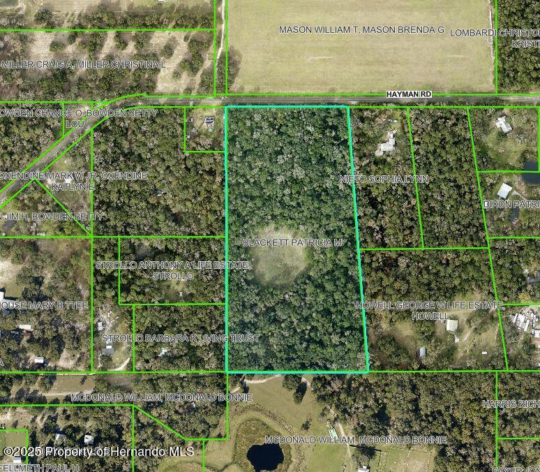 Hayman Road, Brooksville, Florida image 2