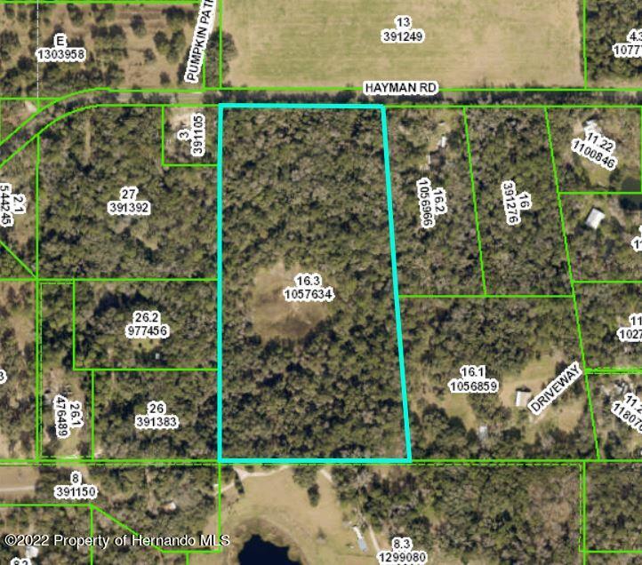 Hayman Road, Brooksville, Florida image 1