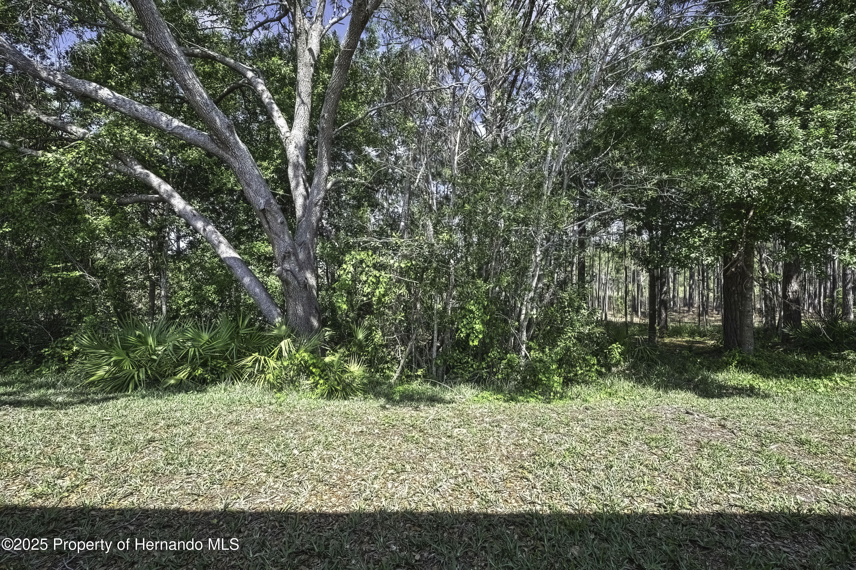 10109 Holly Berry Drive, Weeki Wachee, Florida image 35