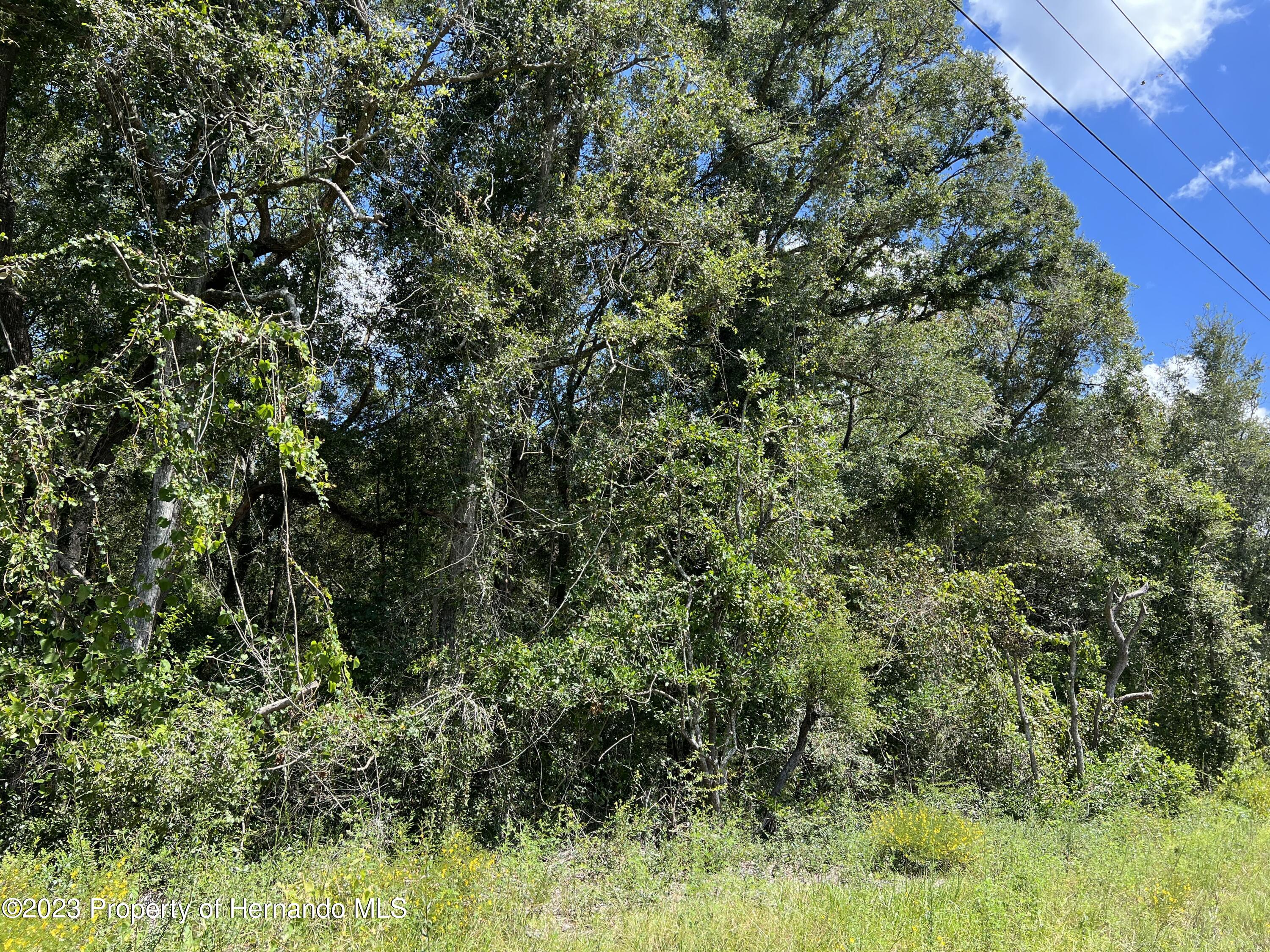 Us 19 Highway, Chiefland, Florida image 2