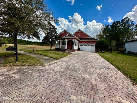Homes For Sale - 19484 Forest Garden Court<br/> Brooksville, FL 34601