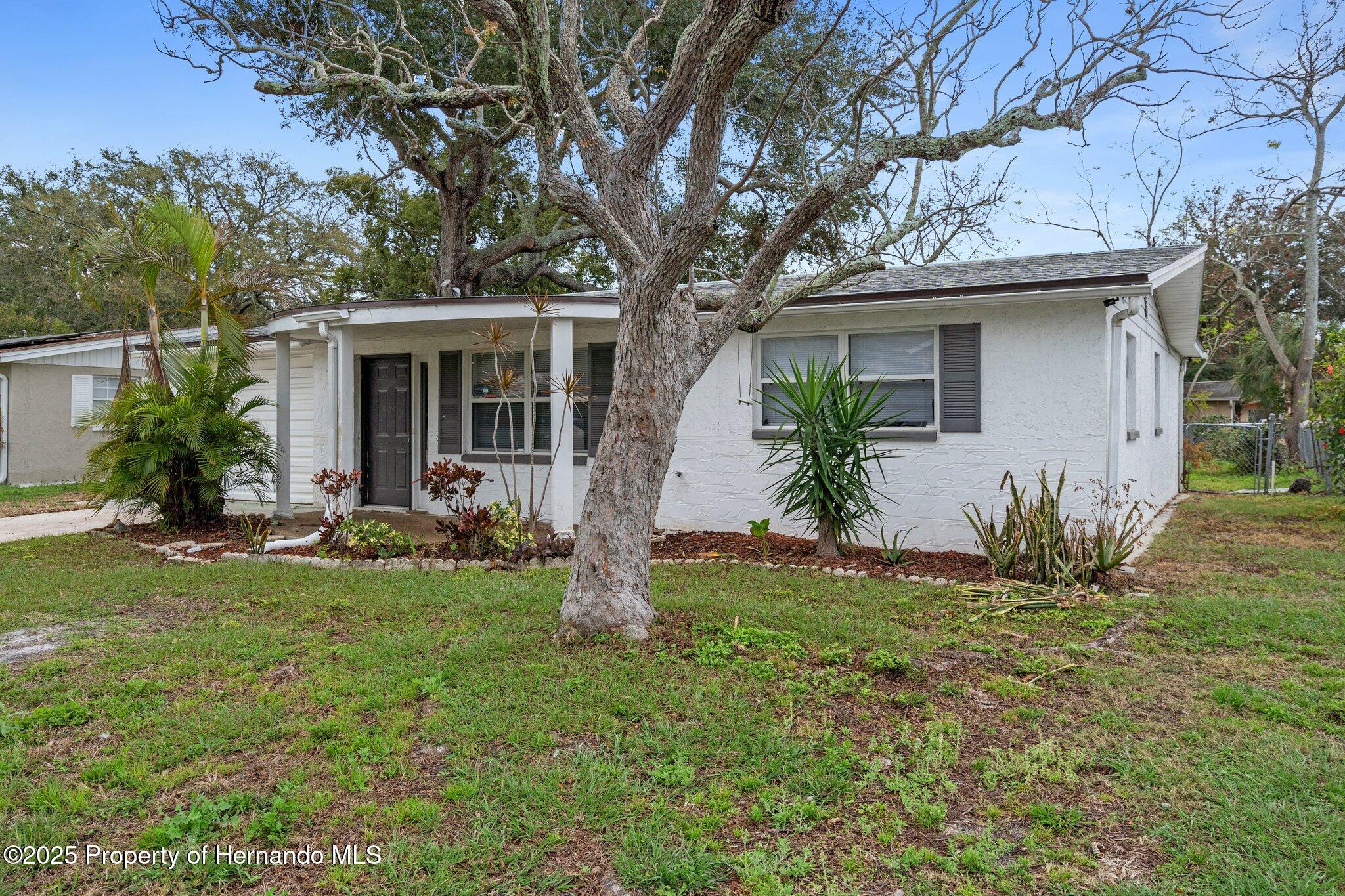 6414 Kelso Drive, Port Richey, Florida image 4