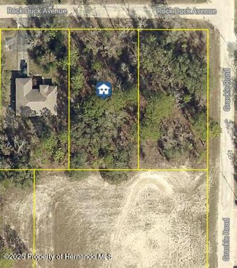Vacant Land For Sale - 13012 Rock Duck Avenue<br/> Weeki Wachee, FL 34614