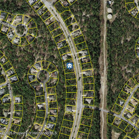 107 Cypress Boulevard, Homosassa, Florida image 1