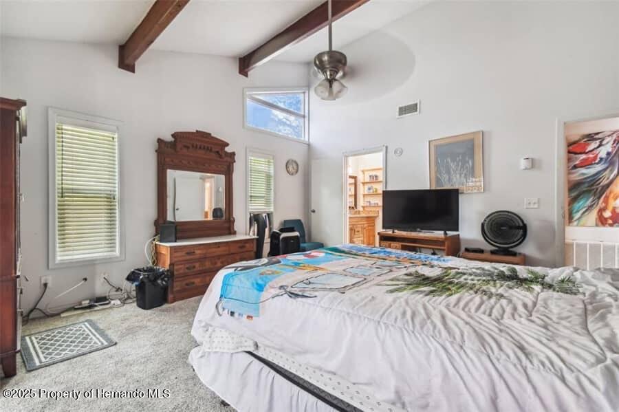 39127 Pretty Pond Road, Zephyrhills, Florida image 22