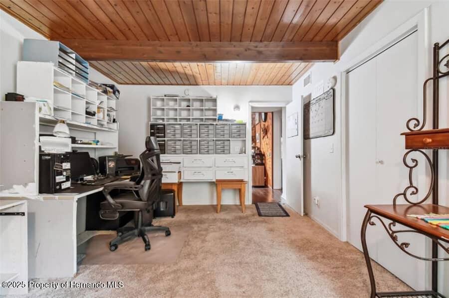 39127 Pretty Pond Road, Zephyrhills, Florida image 33