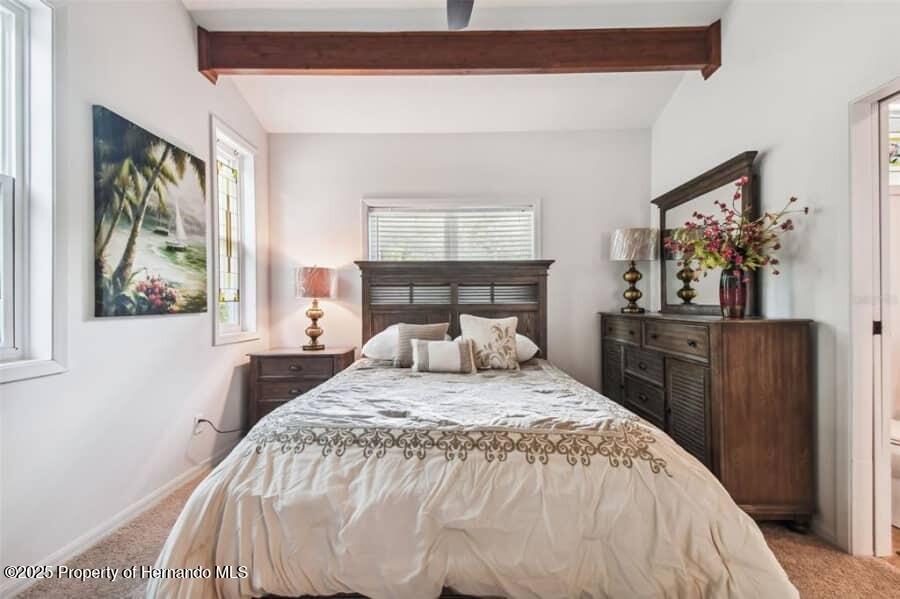 39127 Pretty Pond Road, Zephyrhills, Florida image 39