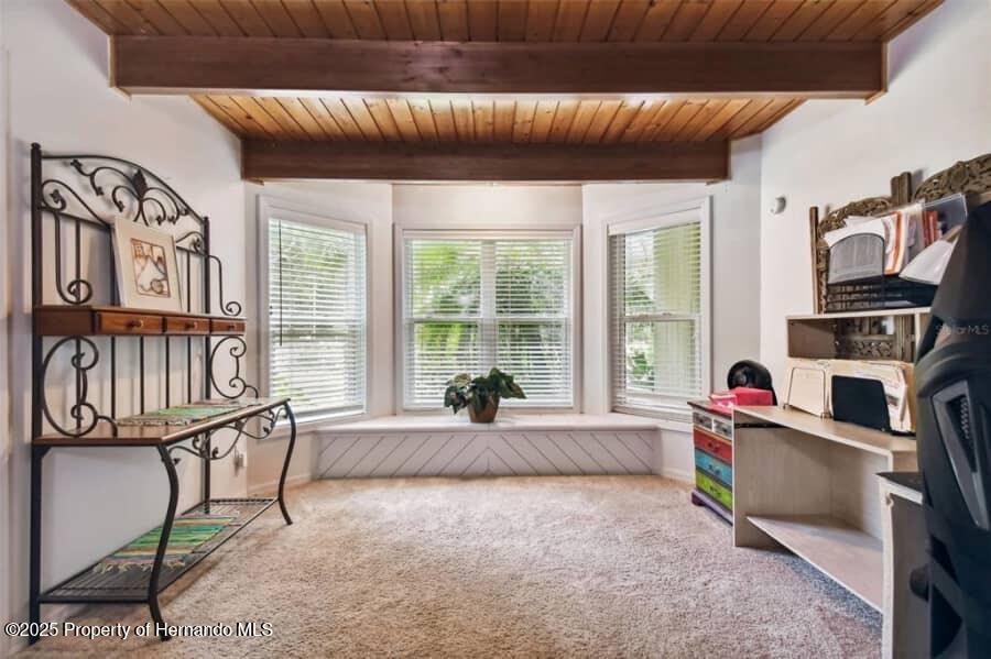 39127 Pretty Pond Road, Zephyrhills, Florida image 32