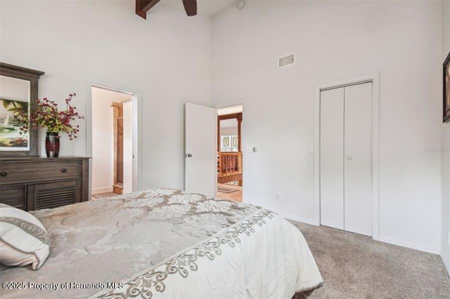 39127 Pretty Pond Road, Zephyrhills, Florida image 38