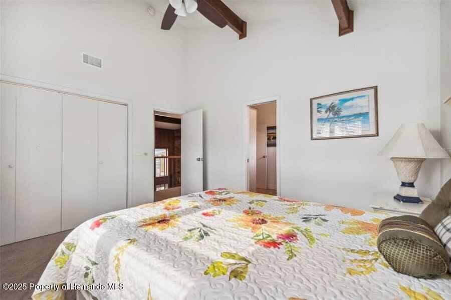 39127 Pretty Pond Road, Zephyrhills, Florida image 44