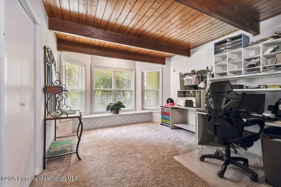 39127 Pretty Pond Road, Zephyrhills, Florida image 31