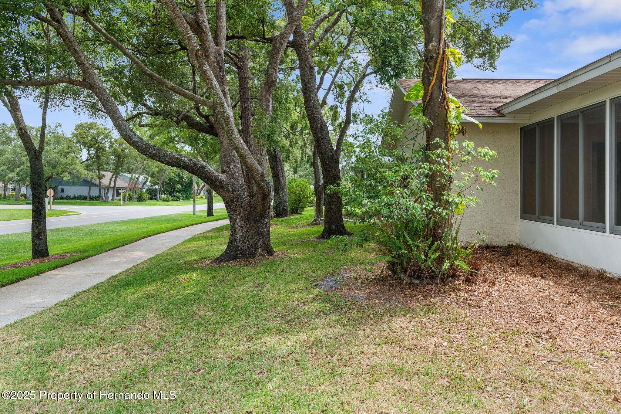 6509 Pine Meadows Drive, Spring Hill, Florida image 18