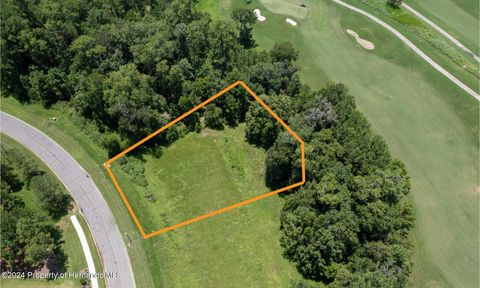 Vacant Land For Sale - 5995 Creek Ridge Road<br/> Brooksville, FL 34601
