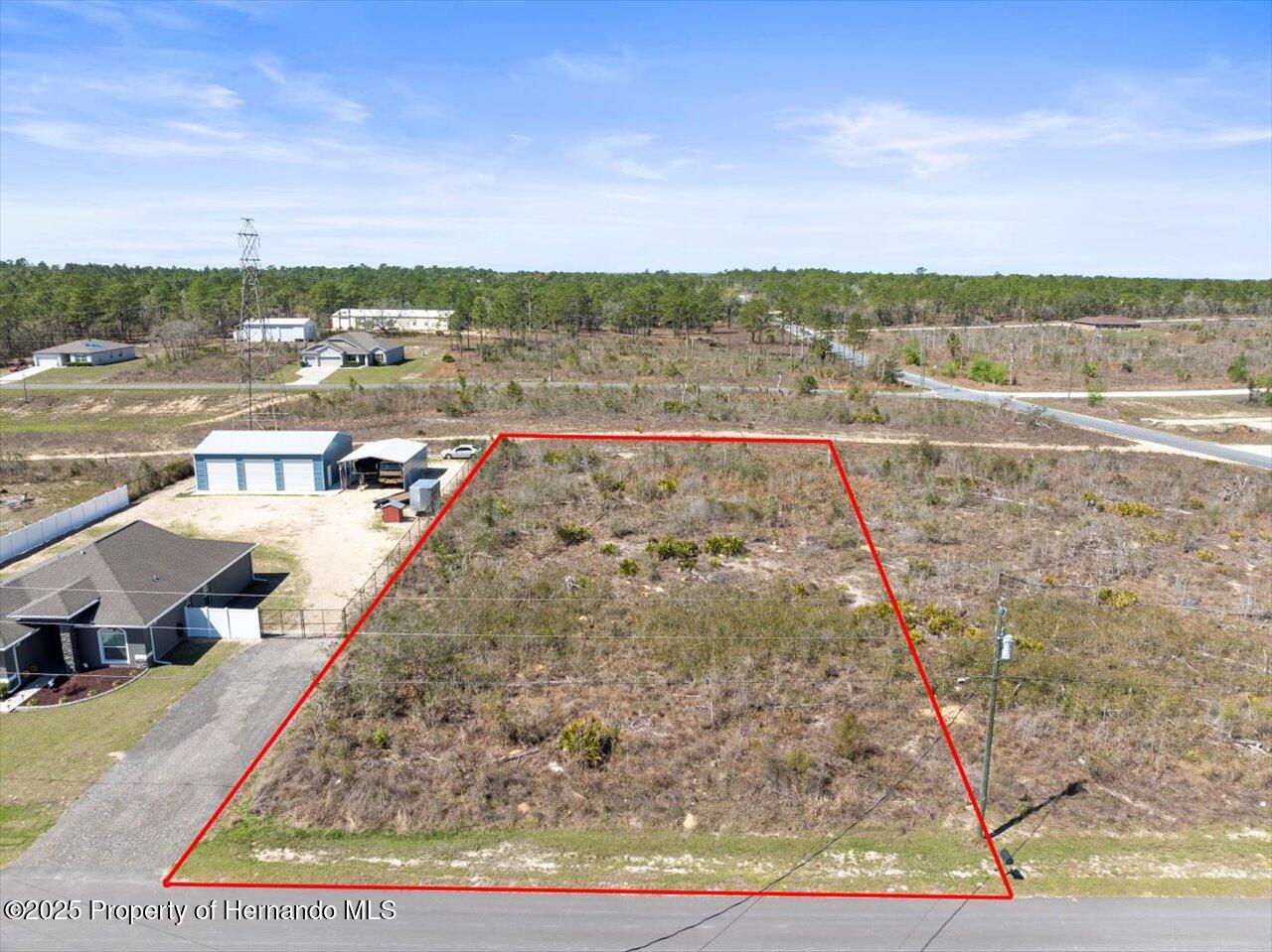 16203 Penn State Road, Brooksville, Florida image 4
