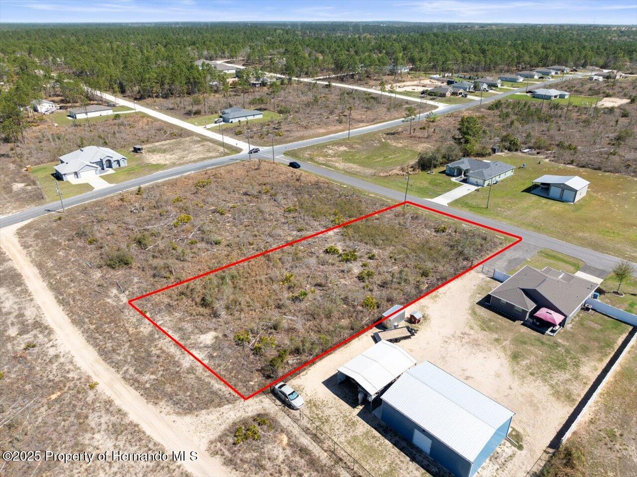 16203 Penn State Road, Brooksville, Florida image 9