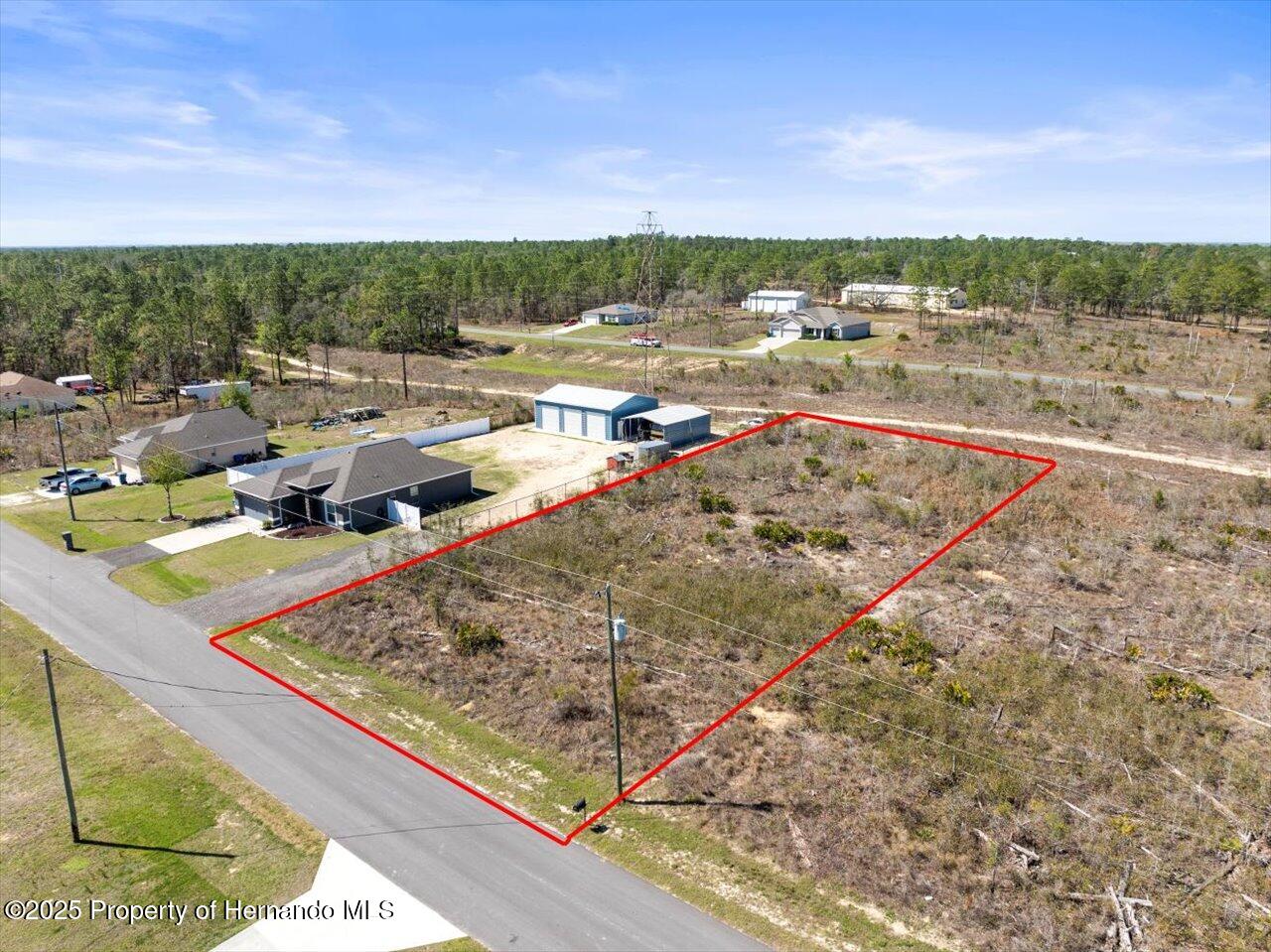 16203 Penn State Road, Brooksville, Florida image 5