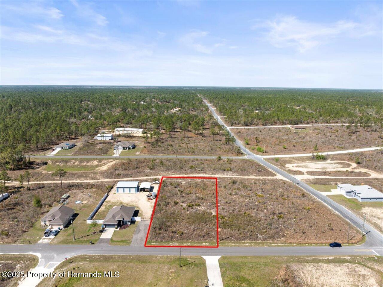 16203 Penn State Road, Brooksville, Florida image 1