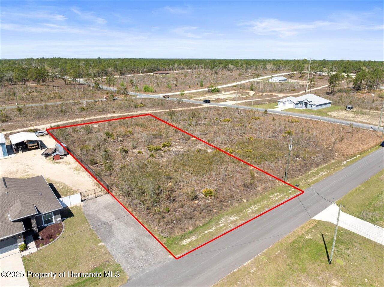 16203 Penn State Road, Brooksville, Florida image 6