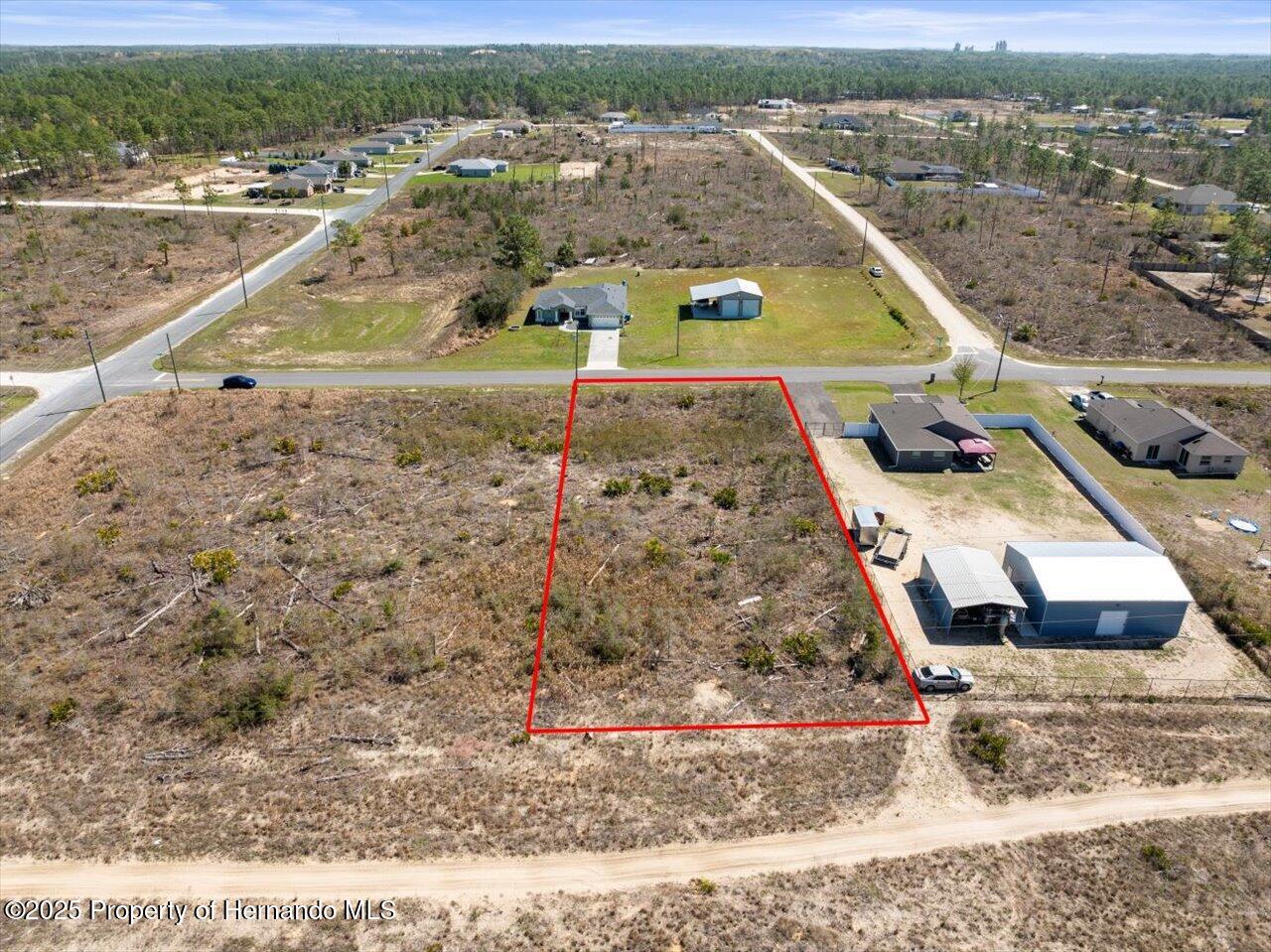 16203 Penn State Road, Brooksville, Florida image 8