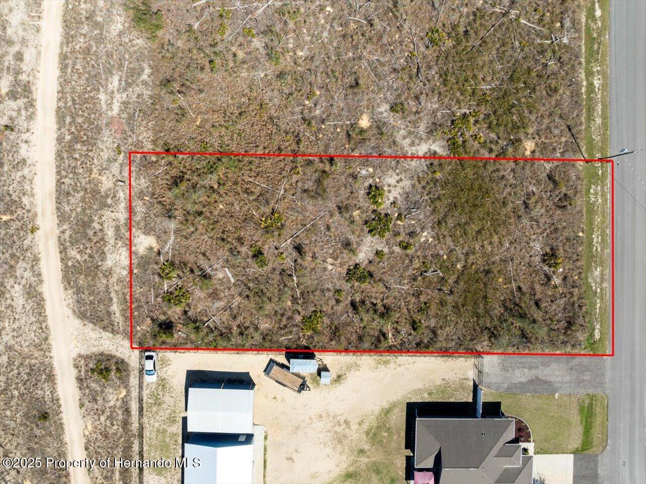 16203 Penn State Road, Brooksville, Florida image 7