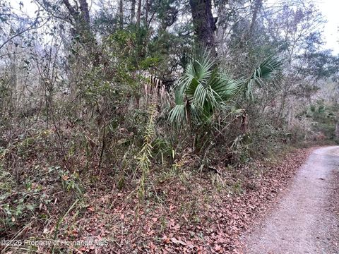 Vacant Land For Sale - 00 Budowski Road<br/> Brooksville, FL 34614