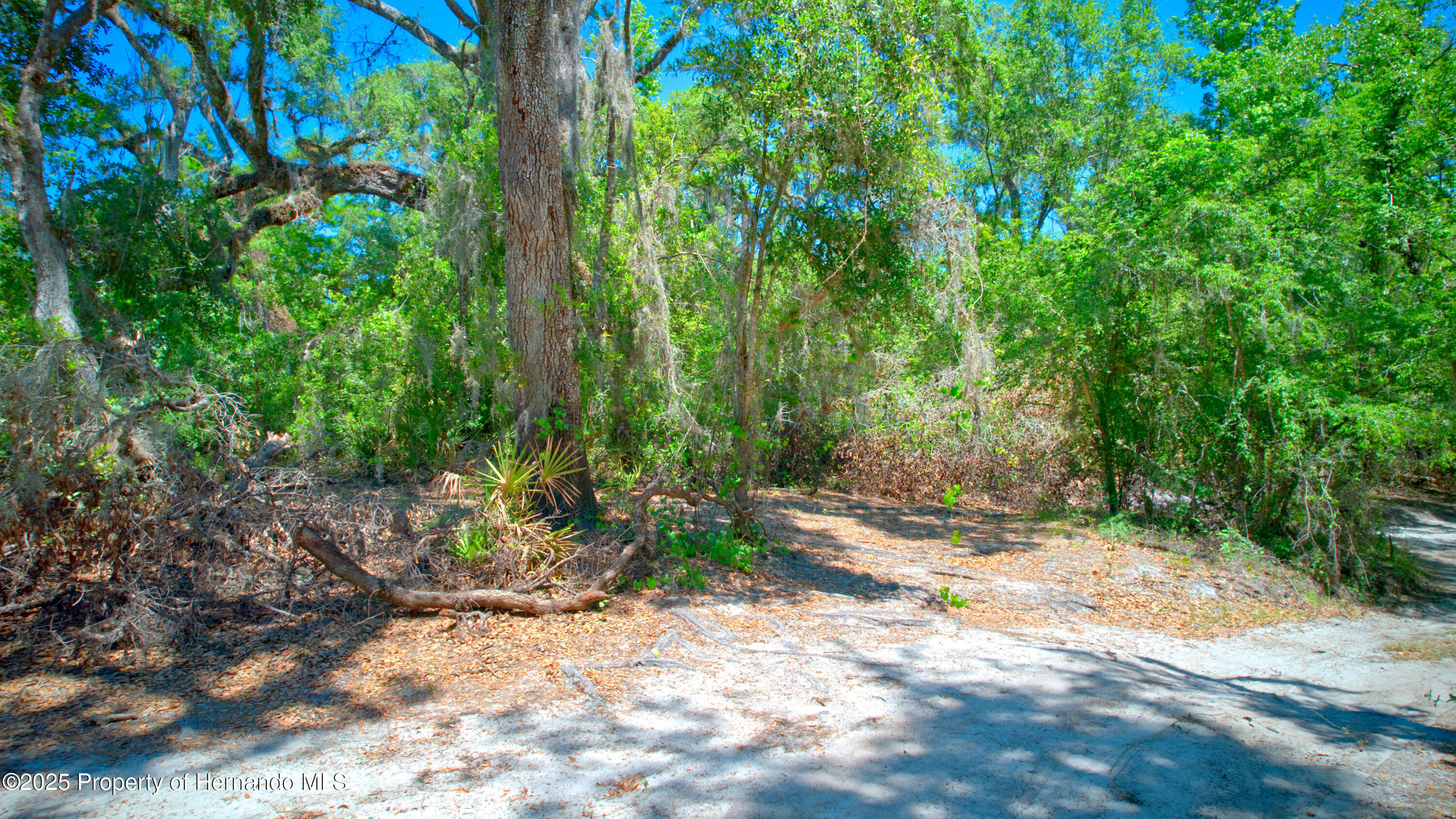 Circle Stone Ct, Webster, Florida image 12