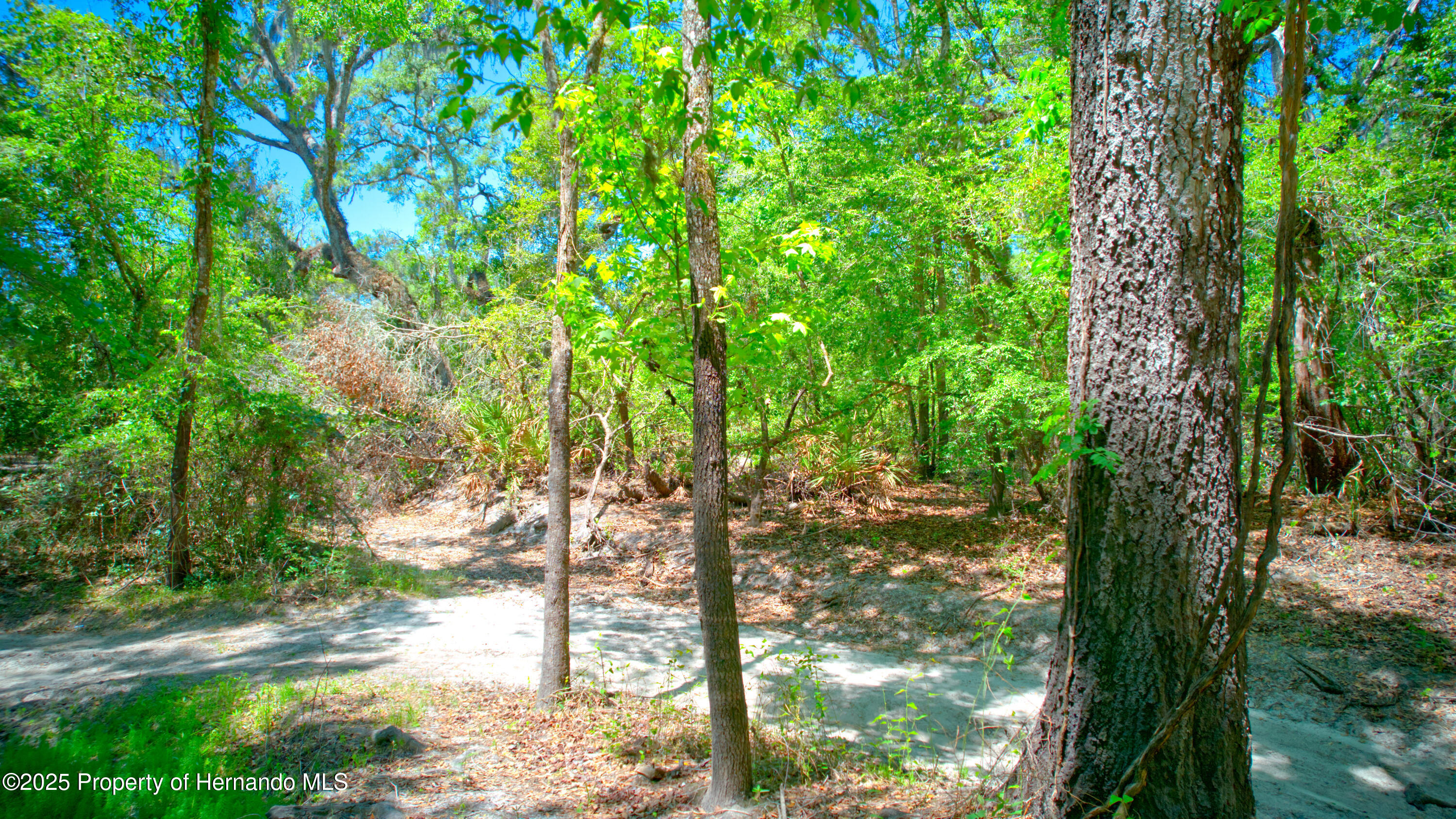 Circle Stone Ct, Webster, Florida image 11