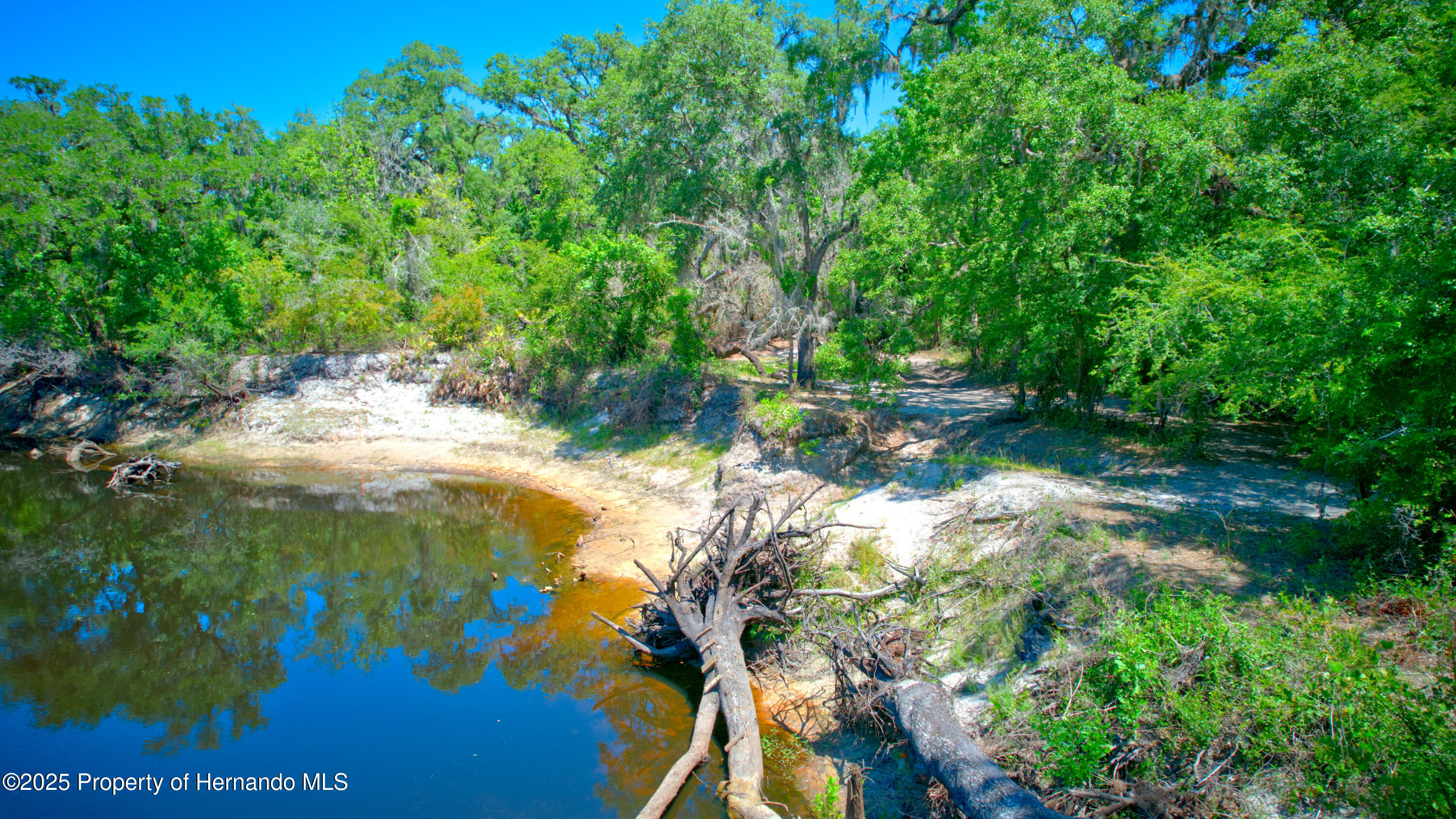 Circle Stone Ct, Webster, Florida image 16