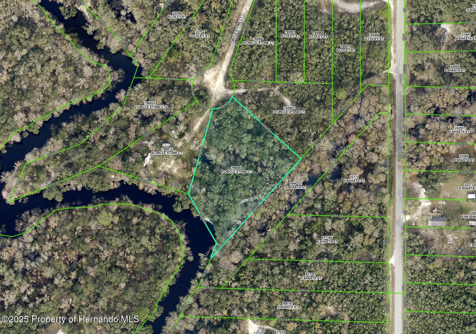 Circle Stone Ct, Webster, Florida image 28