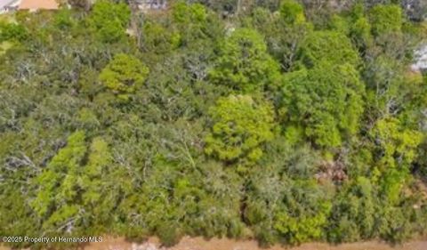 Vacant Land For Sale - 3366 N Annapolis Avenue<br/> Hernando, FL 34442