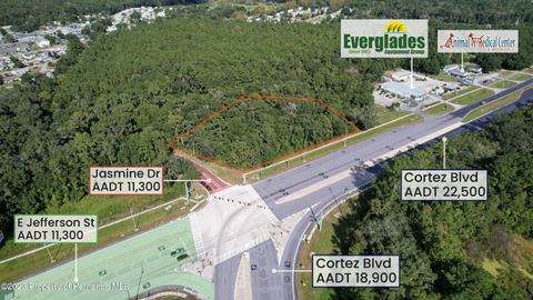 Vacant Land For Sale - Cortez<br/> Brooksville, FL 34601