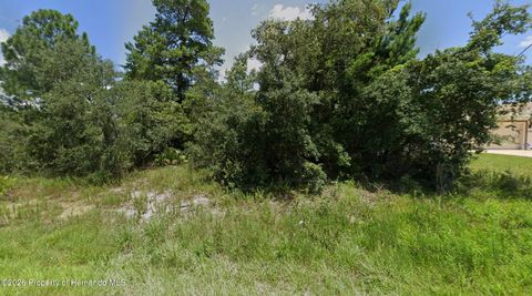 Vacant Land For Sale - 10391 Fulton Avenue<br/> Weeki Wachee, FL 34613