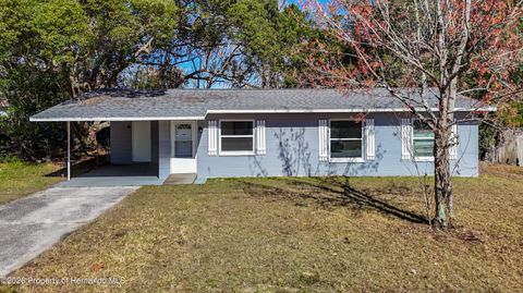 Homes For Sale - 27183 Thorncrest Avenue #27183<br/> Hernando County, Brooksville, FL 34602