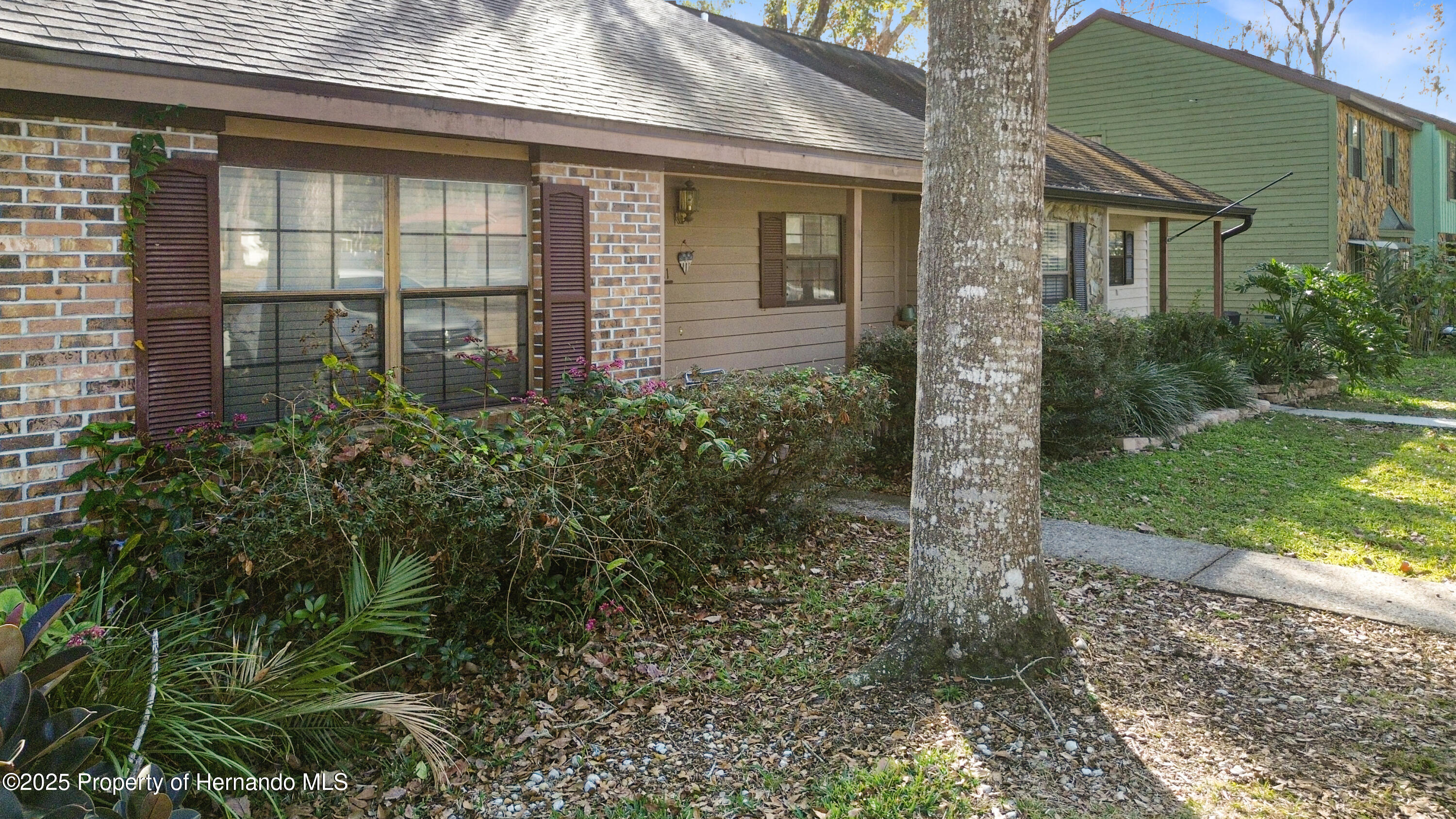 911 Candlebrook Lane, Brooksville, Florida image 4