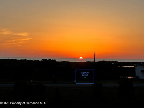 Vacant Land For Sale - LOT 19 Lugustrum Drive<br/> HERNANDO BEACH, FL 34607
