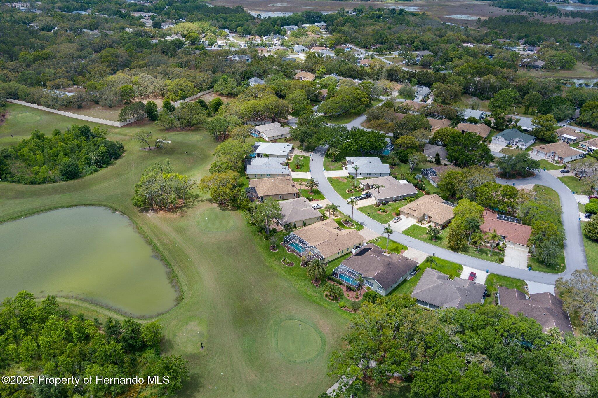 2048 Sparkling Waters Way, Spring Hill, Florida image 7