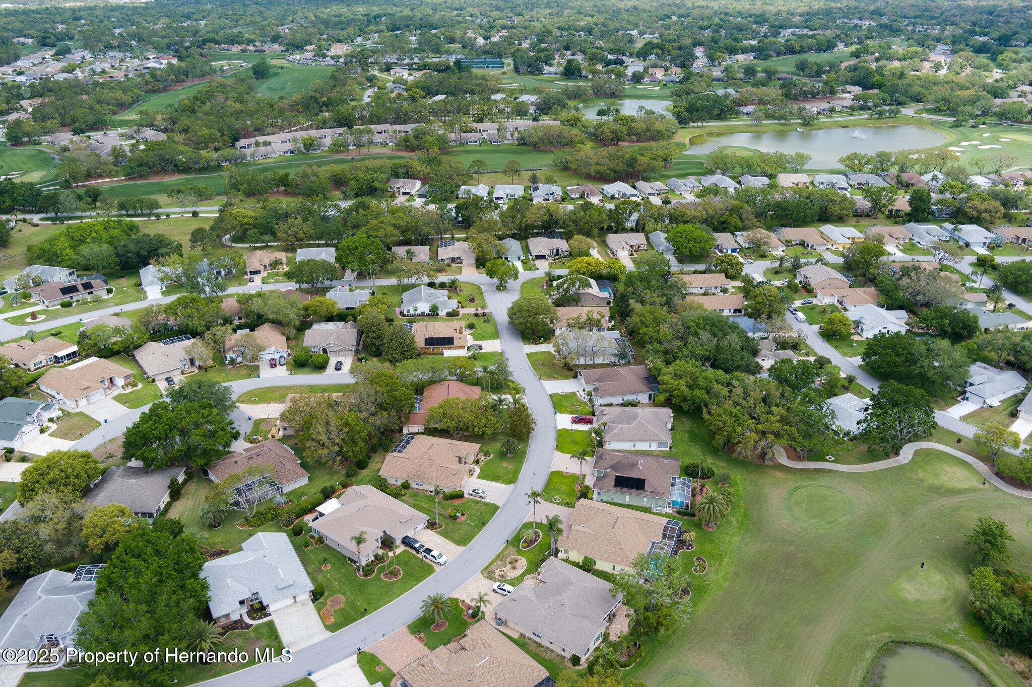 2048 Sparkling Waters Way, Spring Hill, Florida image 11