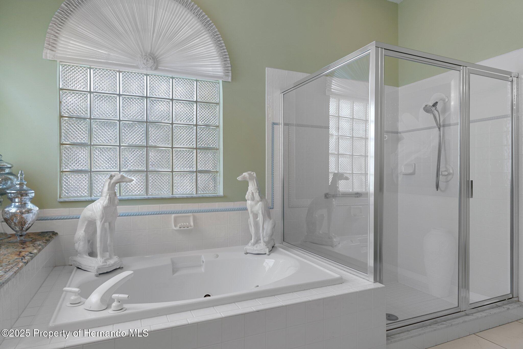 2048 Sparkling Waters Way, Spring Hill, Florida image 43