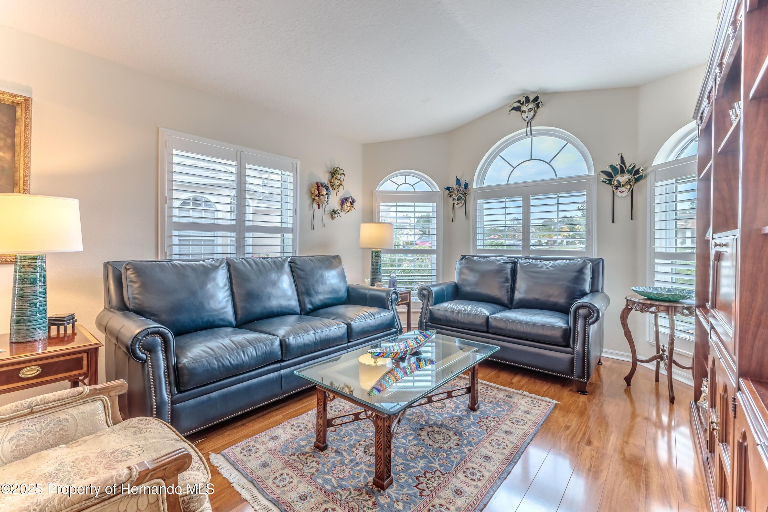 11750 Teapot Court, Spring Hill, Florida image 9