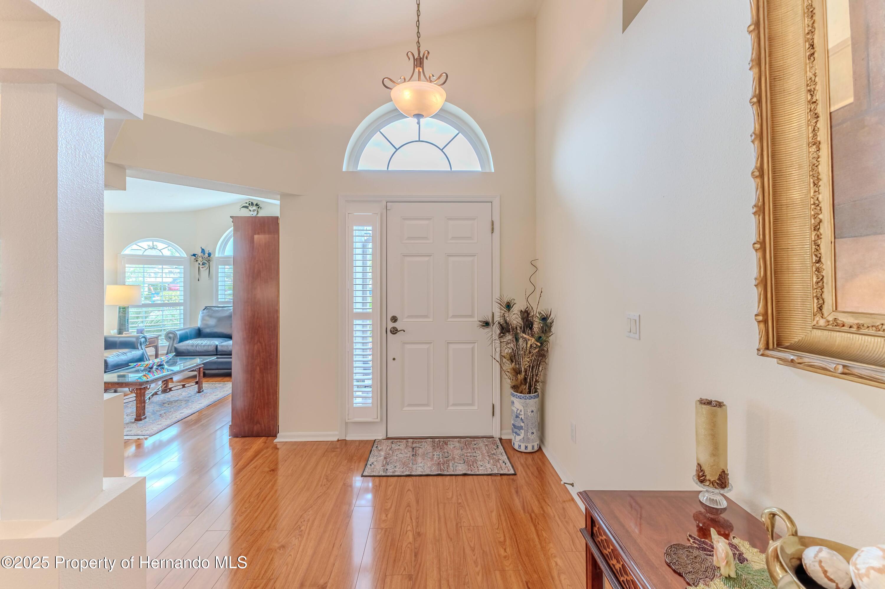 11750 Teapot Court, Spring Hill, Florida image 6