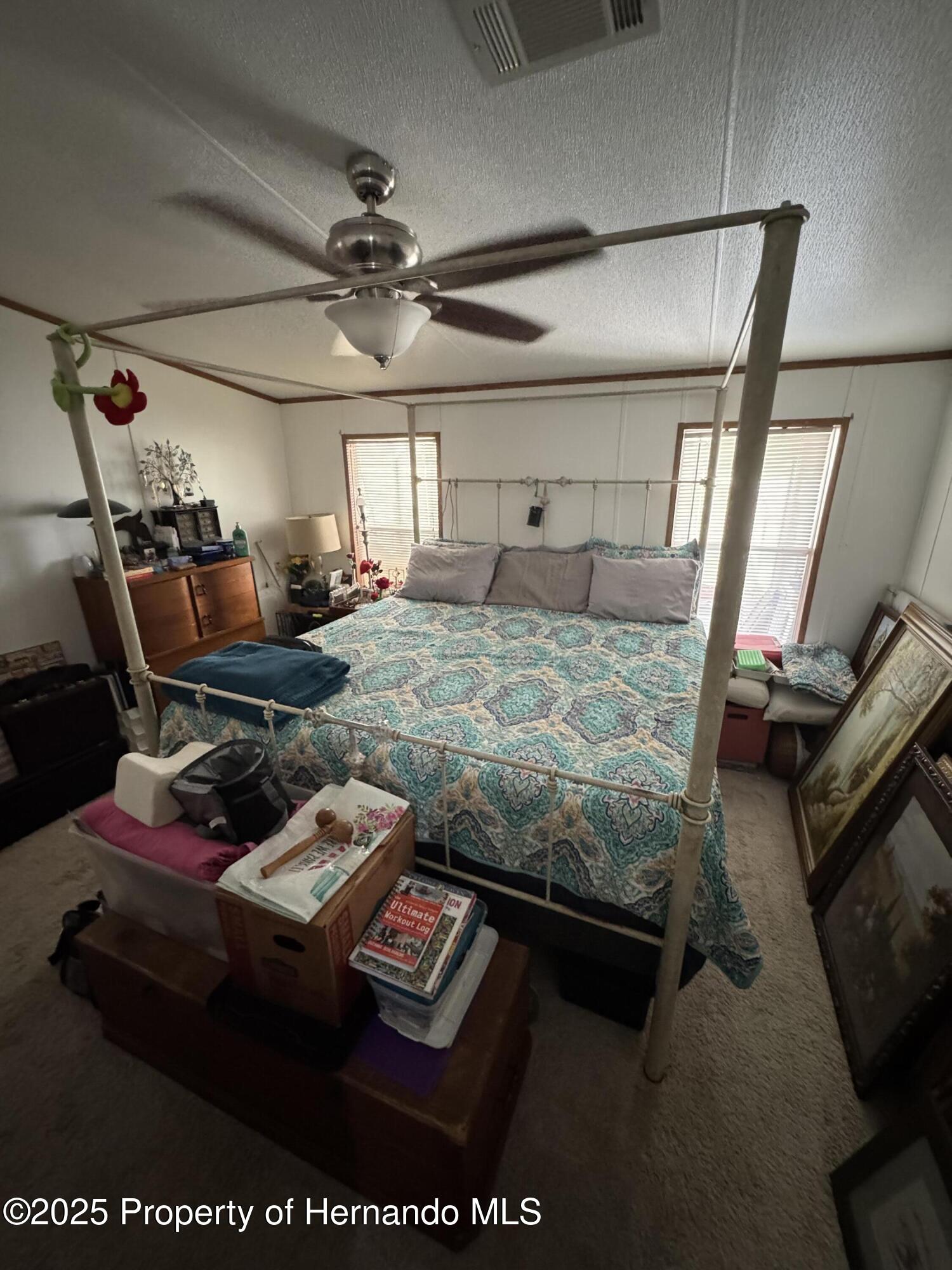6490 Evanston Street, Weeki Wachee, Florida image 5
