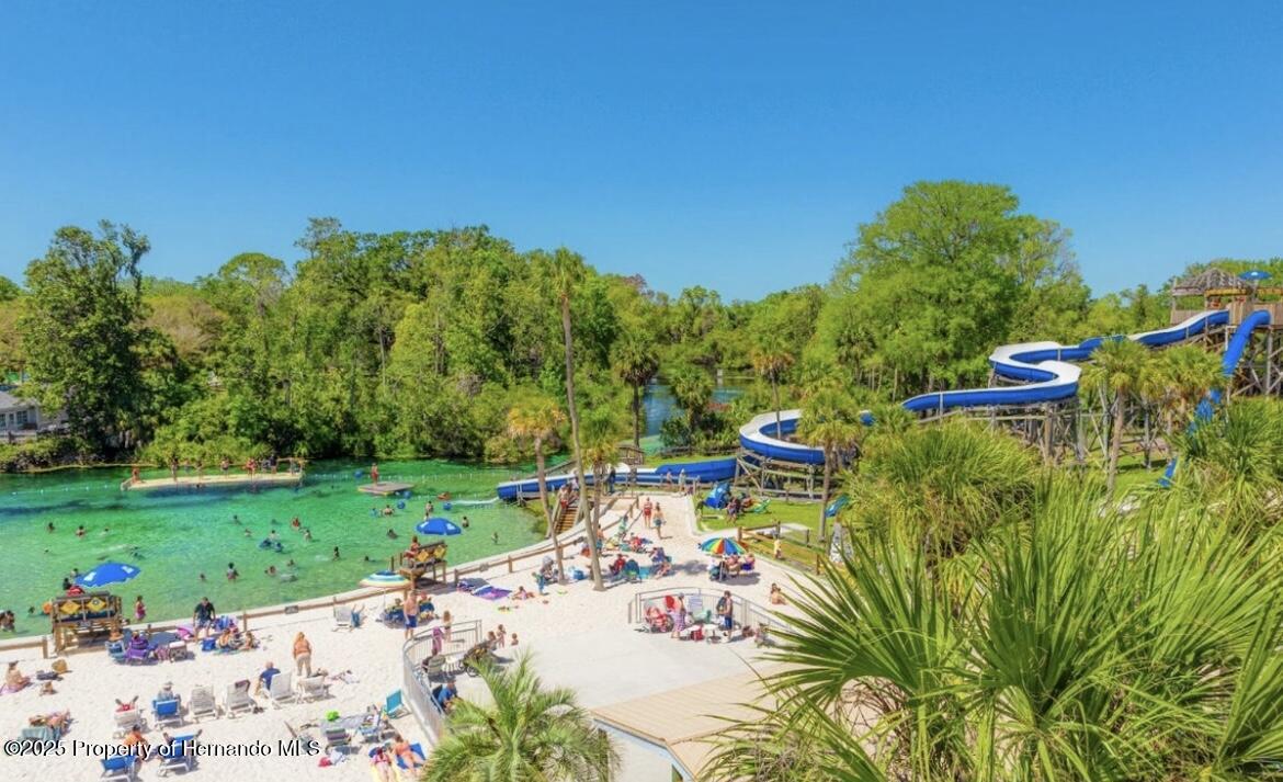 6490 Evanston Street, Weeki Wachee, Florida image 23